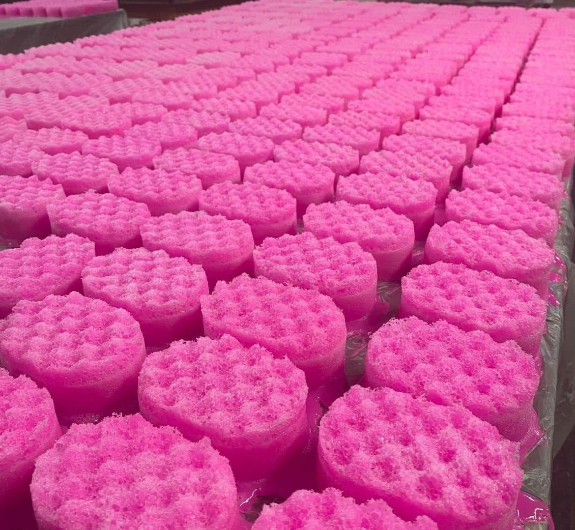 Exfoliating soap sponge